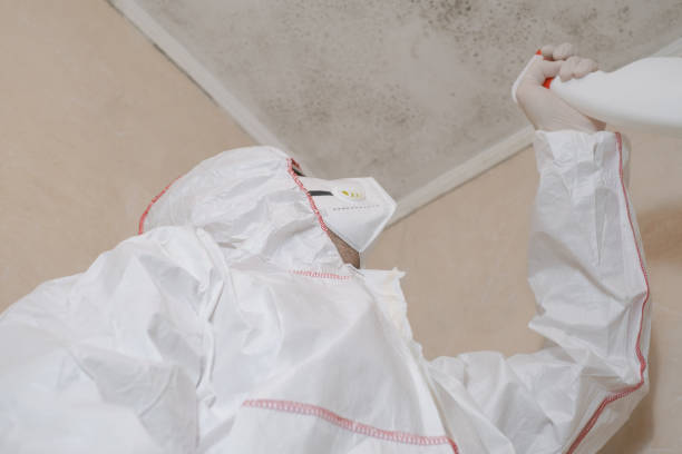 Best Mold Testing and Inspection Services in Minonk, IL